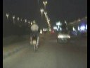 ][$][ Strike Bike-Saudi Bikers ][$][