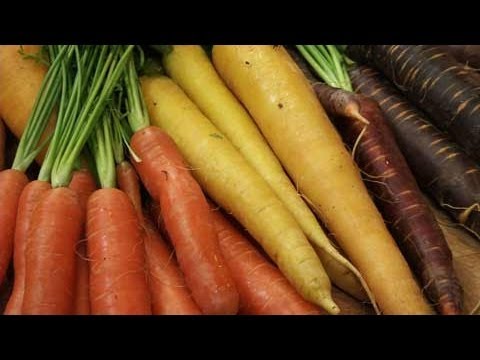 how to grow carrots from other carrots