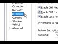 Speed Up Utorrent 1.8