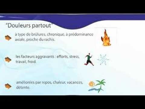 Les lamblias lanalyse médicale