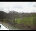 Ride on a white Train