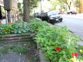 videos de Rogers Park Web - Ennui Cafe