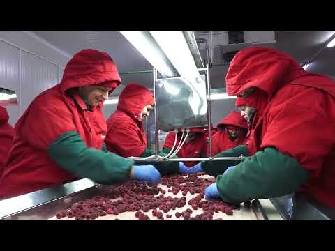 EU:Republika Srbija značajno unapredila sistem službenih kontrola bezbednosti hrane biljnog porekla