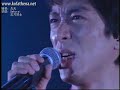 never-lose-my-way-yagami-iori-.html