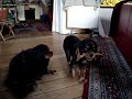 stoeckchen stoeckchen