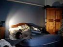 A Gay Morning Lie In