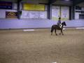 videos de CHLOE ELLWOOD AND BRANDY SNAP Part 2