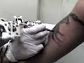 tatuaje de un escorpion 2