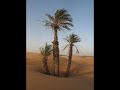 SAHARA MUSIC