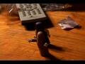 videos de evil slingshot!