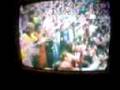 mcfly faustao 3