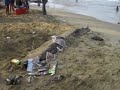 PLAYA VERDE. DESIDIA DEL GOBIERNO REGIONAL DE VARGAS
