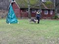 Morfi kaitsetrenn
