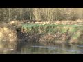 River Irwell (Part 2) Castle Irwell (Racecourse) and the Landslide. River Irwell (Part 2) Castle Irwell (Racecourse) and the Landslide.