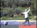 Bagua Spear