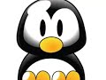 Cute Penguin Pictures