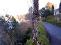 Barragem de Santa Luzia