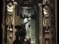 Ver Video