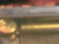 Tortoiseshell 11ok.wmv Tortoiseshell 11ok.wmv