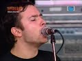 Millencolin - Fox