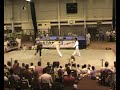 D3V-Demonstration Etampes 2005 Part 2/2