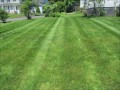 Click here to watch this video 5 Step Lawn Care Program for your lawn ~ http://www.plantscapeservices.com/