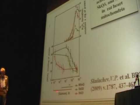 SENS4 – Mitochondria-Targeted Plastoquinone Derivatives as Antisenescence Drugs (2/3)