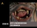 Końcówka jest super ;p
