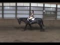 AQHA The Last Write