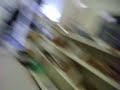 Beating up Maddie at Goodwill!