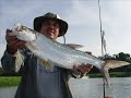 PESCA EN CHIAPAS (SABALOS)