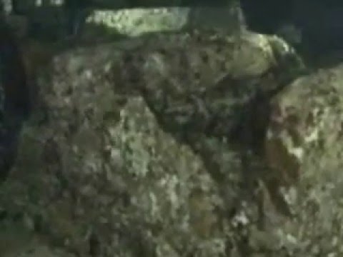 El mejor pecio