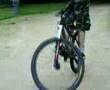 bar-spine-en-giant-s