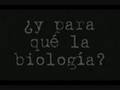 Ingenieria Mecatronica