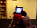 videos de Cat riding - starring Lemony I., the King