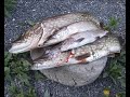 A Pesca in Norvegia