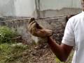 videos de marvin class(como agarrar un alacran ahhahaha)