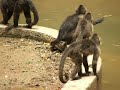 ZOOLOGICO EL PINAR