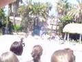 FAMAAA A BAILAR PORT AVENTURA