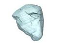 FASTRA-Diamant-recon