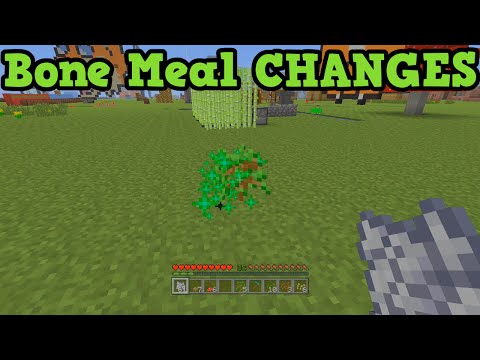 how to grow a big tree in minecraft xbox