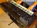 Oberheim OB-Xa Analog Synthesizer (1980) pt.1