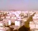 borgeh-sefid-iran