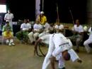 festival quilombo 2008 ecap