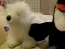 My RETIRED WEBKINZ My RETIRED WEBKINZ