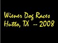 Wiener Dog Races