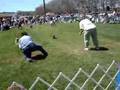 Wiener Dog Races