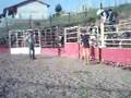 Treino de rodeio ananias emiliano