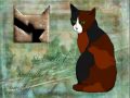 videos de RE: My Entry for winxstar5's Contest