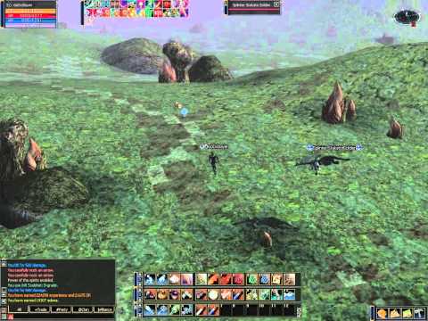 Lineage 2 Hawkeye L2Mid Private Server Gameplay 10